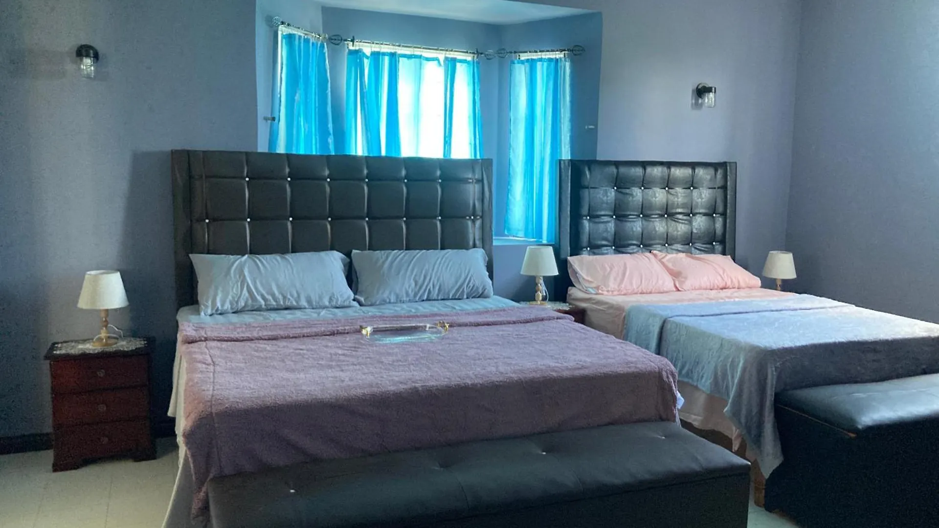 Blue Flamingo Villa 蒙特哥贝