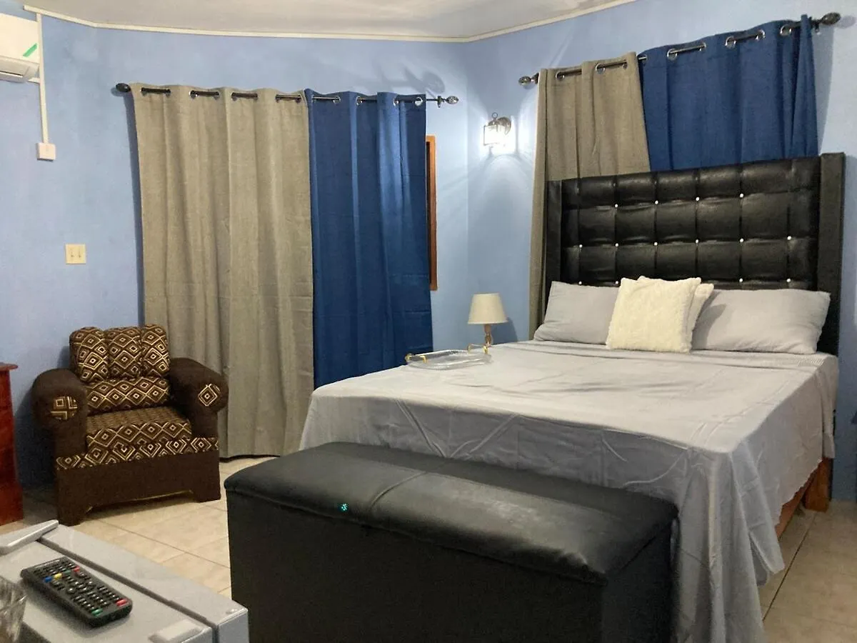Blue Flamingo Villa 蒙特哥贝 牙买加